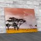 Serengeti Savannah Canvas Print Large Picture Wall Art