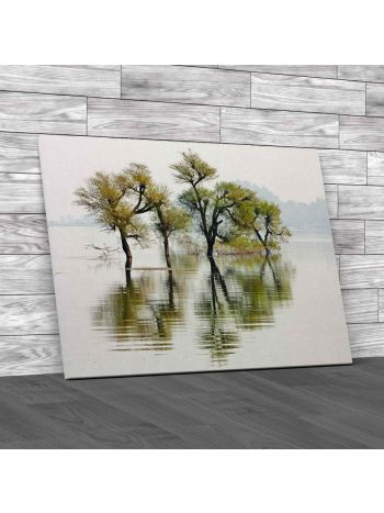 Lone Trees in Lake Canvas Print Large Picture Wall Art
