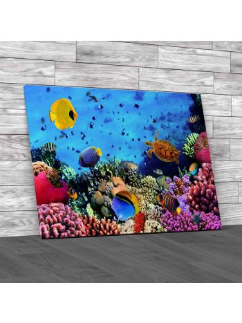 Tropical Fish In Ocean Canvas Print Large Picture Wall Art