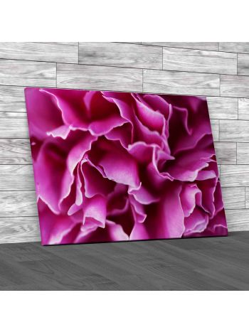 Floral Flower Petals Canvas Print Large Picture Wall Art