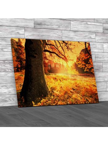 Fields of Tree Leaves Canvas Print Large Picture Wall Art