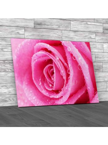 Floral Rose Flower Close Canvas Print Large Picture Wall Art