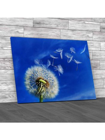 Dandelion Blowing Wind Canvas Print Large Picture Wall Art