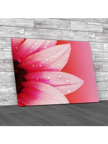 Soft Pale Flower Patels Canvas Print Large Picture Wall Art