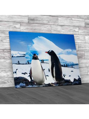 Penguins On Snowy Rocks Canvas Print Large Picture Wall Art
