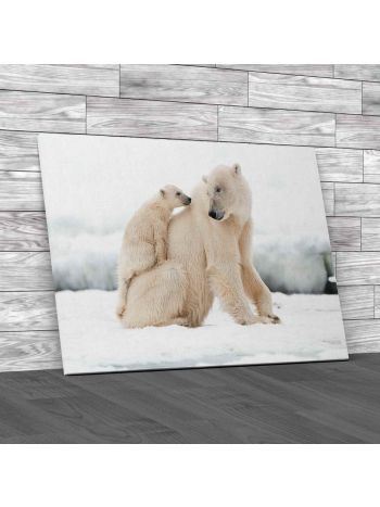 Polar Bear With Cub Canvas Print Large Picture Wall Art