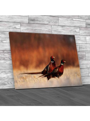 Pheasants Canvas Print Large Picture Wall Art