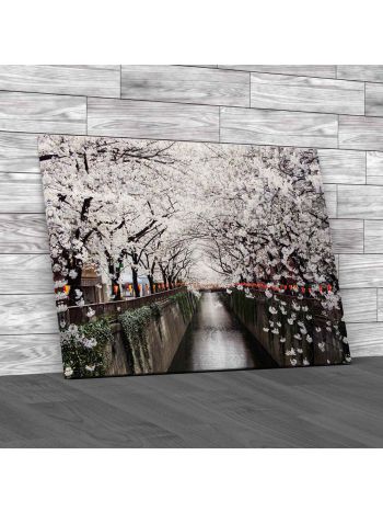 Cherry Blossom Tunnel Over River Canvas Print Large Picture Wall Art