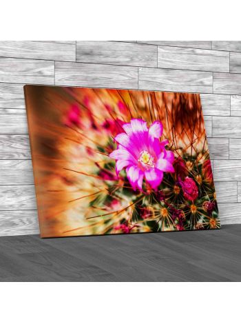 Cactus In Queen Sirikit Botanic Garden Canvas Print Large Picture Wall Art