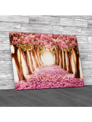 Romantic Tunnel Of Pink Flower Trees Canvas Print Large Picture Wall Art