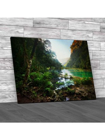 Rain Forest In Guatemala Canvas Print Large Picture Wall Art
