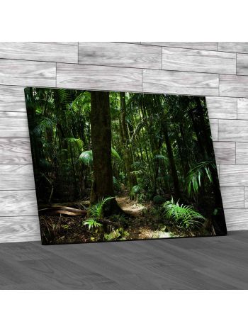 Rain Forest Canvas Print Large Picture Wall Art
