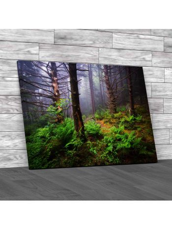 Foggy Forest North Carolina Canvas Print Large Picture Wall Art