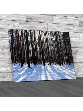 Sunrise In A Winter Forest Canvas Print Large Picture Wall Art