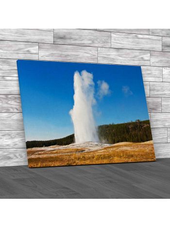 Eruption Of Old Faithful Geyser Canvas Print Large Picture Wall Art