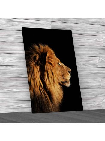 Male Lion on Guard Canvas Print Large Picture Wall Art