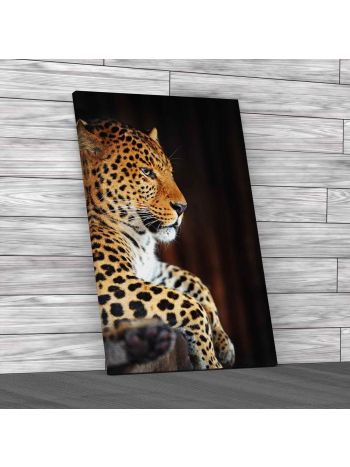 Laying Leopard Portrait Canvas Print Large Picture Wall Art
