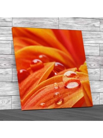 Flowers Leaves Droplets Square Canvas Print Large Picture Wall Art